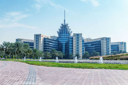 Apartments for Dubai Silicon Oasis