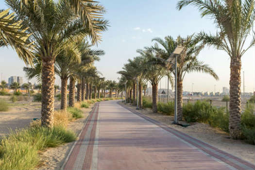 Apartments for Jumeirah Village Circle
